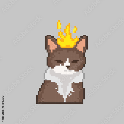 Cat with head on fire, pixel art meme