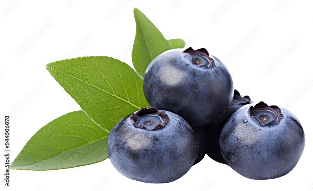 Obraz premium PNG Fresh blueberry fruit plant food.