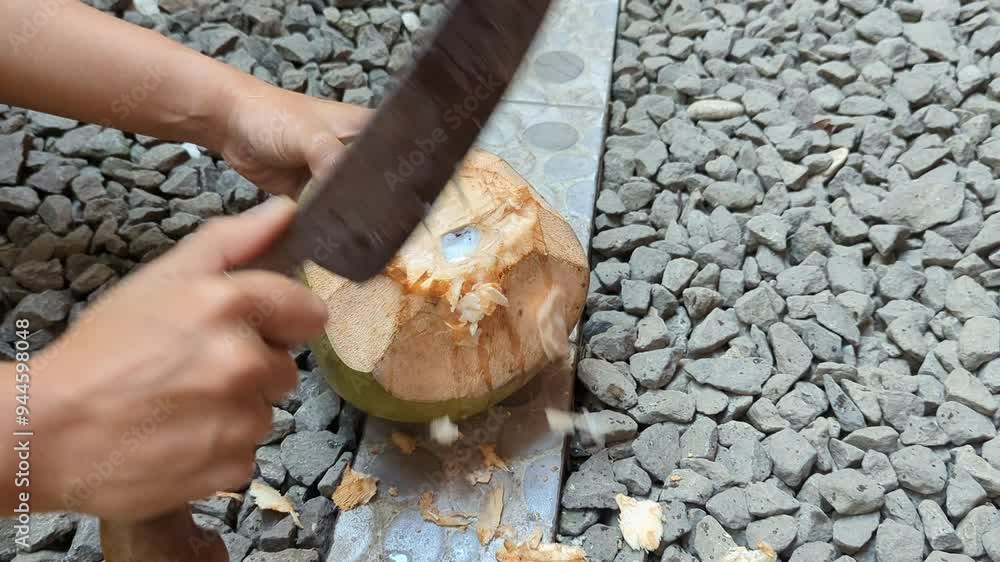 close-up of a man peeling a young coconut using a machete, in outdoor, whose fragrant water and soft flesh are perfect to sell, health drink, 4K. close-up of a man peeling a young coconut using a machete, in outdoor, whose fragrant water and soft flesh are perfect to sell, health drink, 4K.