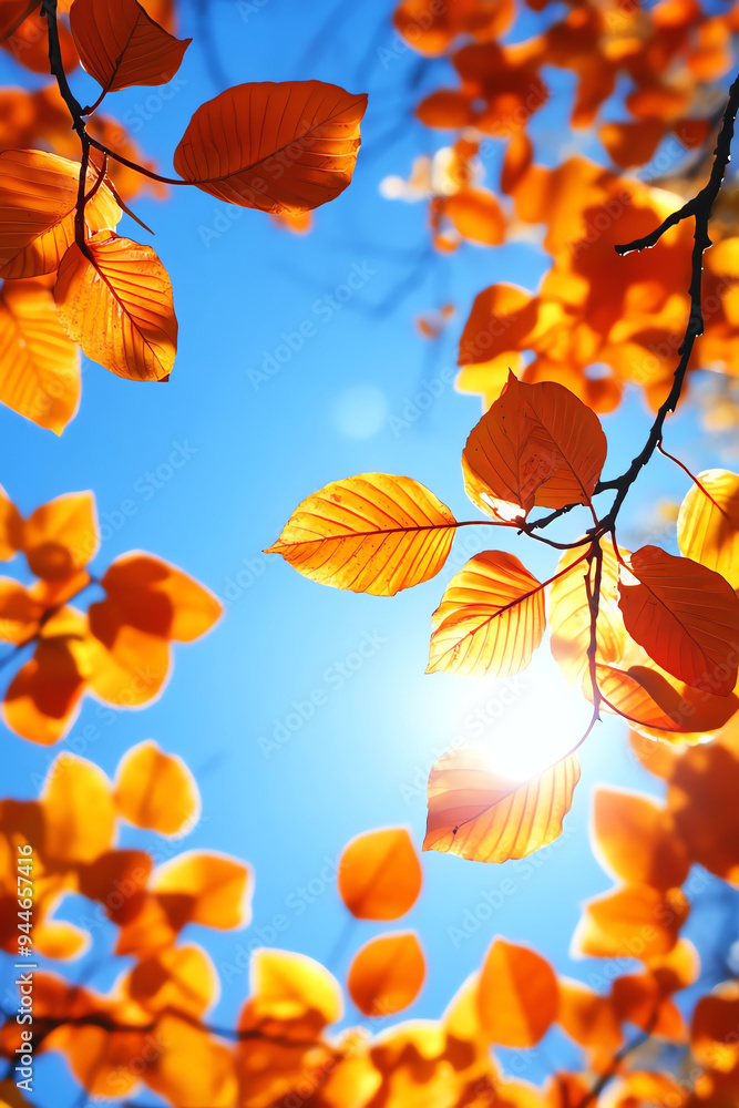 Golden autumn leaves glow in sunlight against a clear blue sky, showcasing the vibrant colors of fall in a serene natural setting. Golden autumn leaves glow in sunlight against a clear blue sky, showcasing the vibrant colors of fall in a serene natural setting.