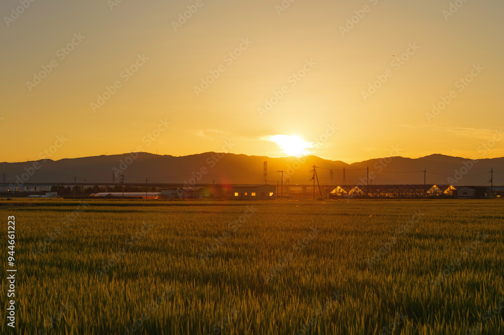Dusk view of rice fields in Kyoto, Japan Dusk view of rice fields in Kyoto, Japan