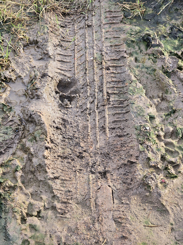 wheel track mud after rain.