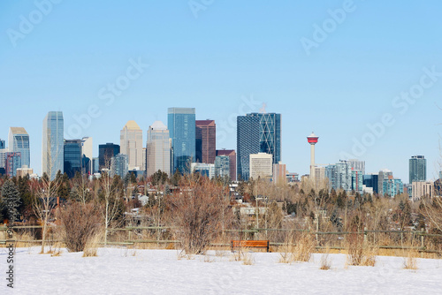 Toronto city skyline with trees