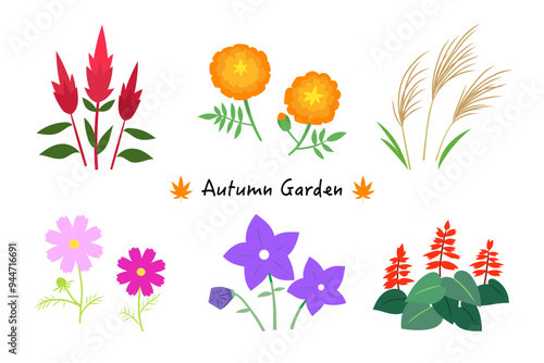 秋の花のイラストセット
