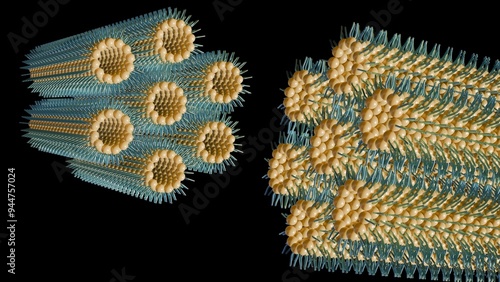 3d rendering of inverse hexagonal phase.  In this phase, long, tubular aggregates form in a hexagonal pattern photo