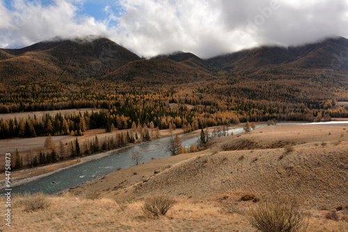 View from the top of a dense coniferous forest on the banks of a winding river flowing at the foot of a high mountain with peaks in the clouds.