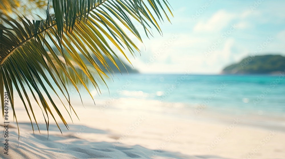 Palm Fronds Overlooking a Tropical Beach Palm Fronds Overlooking a Tropical Beach