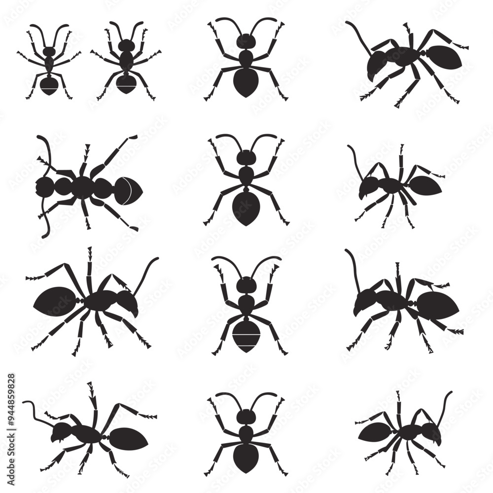Black silhouettes of various ant species in different poses, arranged in a grid pattern on a white background. Black silhouettes of various ant species in different poses, arranged in a grid pattern on a white background.
