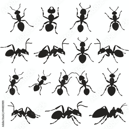 Silhouettes of various ants depicted in different poses on a plain white background.