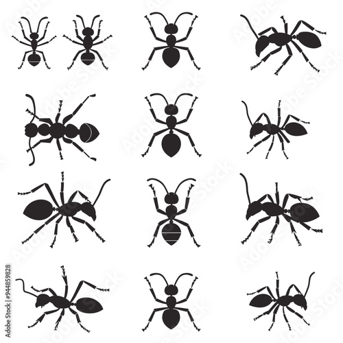 Black silhouettes of various ant species in different poses, arranged in a grid pattern on a white background.