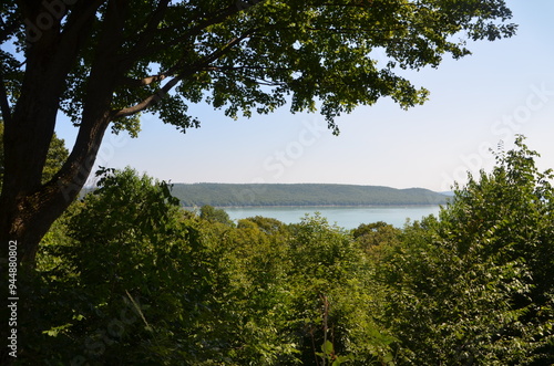 lake with overhanging leaves and trees