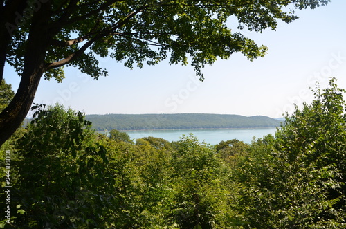 lake with overhanging leaves and trees