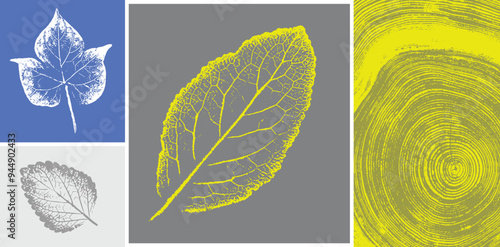 Decorative leaf prints and wood block prints. Monotone yellow and gray botanical tree rings impression print.