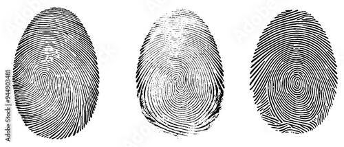 Vector set fingerprints.