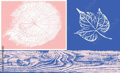 Decorative leaf prints and wood block prints. Monotone pink and blue botanical tree rings impression print.