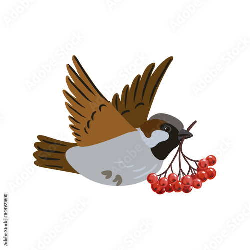 vector drawing flying bird with red berries, hand drawn house sparrow with rowan, isolated nature design element, autumn symbol
