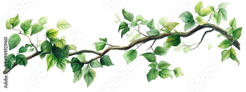 Watercolor illustration of a tropical tree branch with liana vines isolated on white ideal for realistic and detailed jungle designs