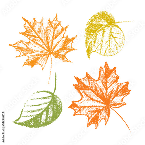 Delightful collection of four artistic autumn leaves that are perfect for all your fall season themed designs