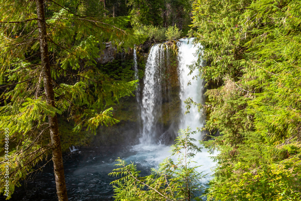 Koosah Falls in McKenzie River valley, Oregon, USA Koosah Falls in McKenzie River valley, Oregon, USA