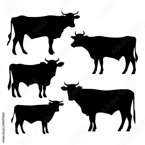 Set of Cow Silhouette on white background