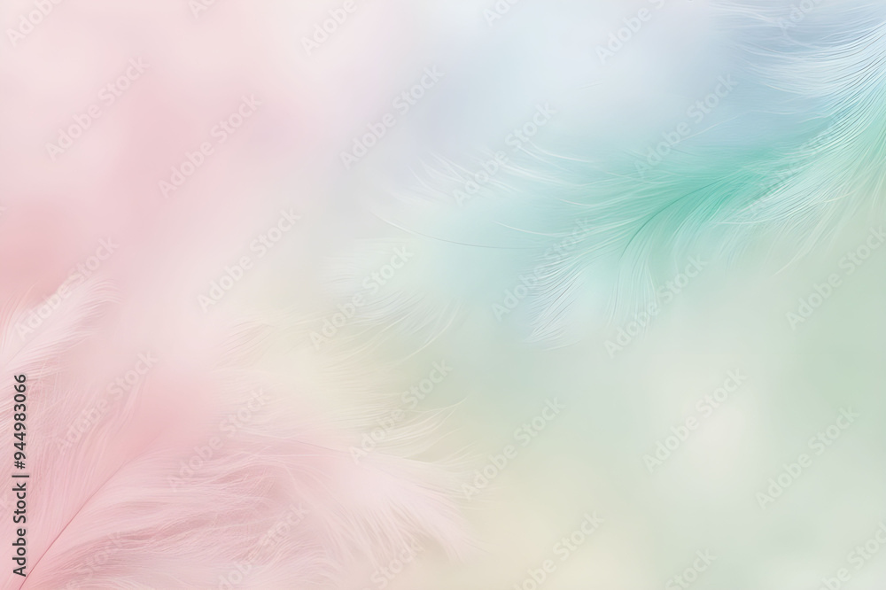 Obraz premium pastel feather 파스텔 깃털
