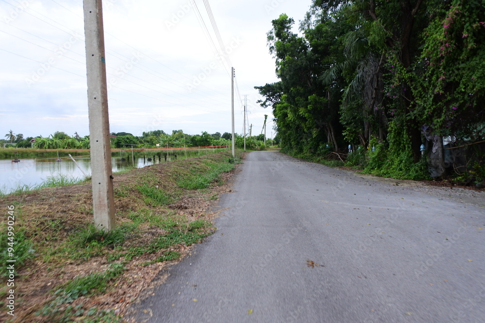 Naklejka premium Concrete road