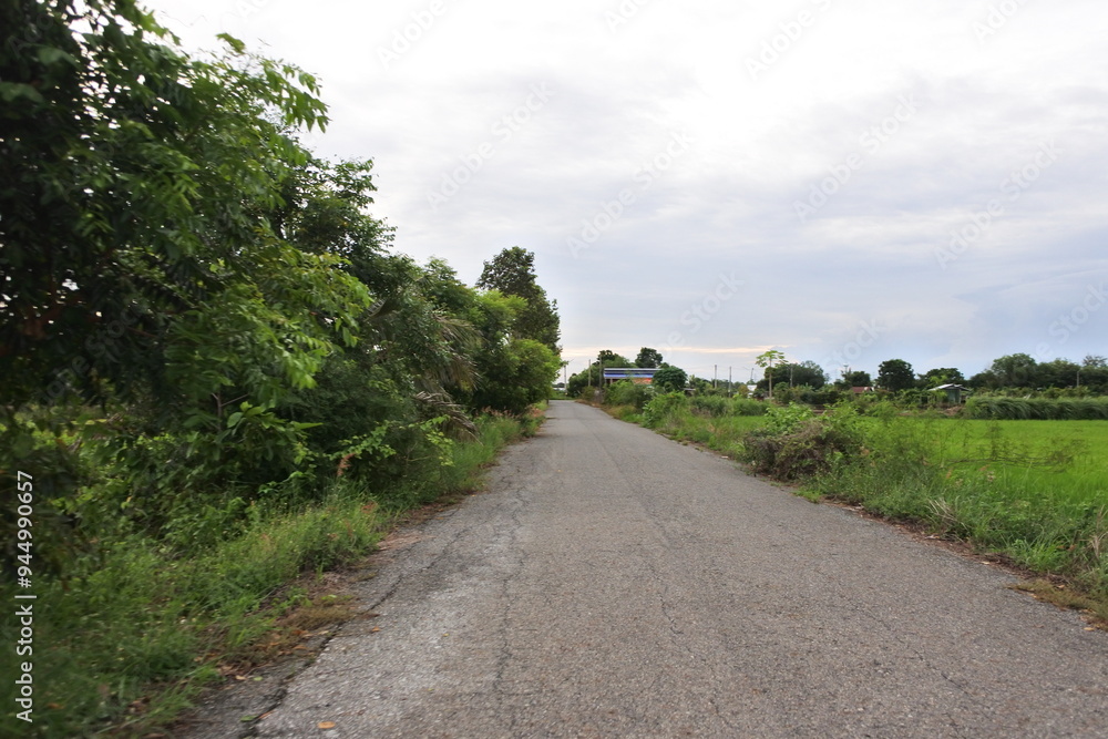 Fototapeta premium Concrete road