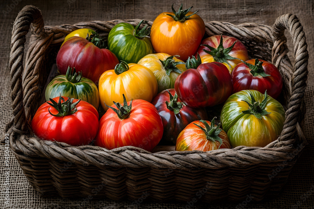 Colorful heirloom tomatoes in a rustic basket Colorful heirloom tomatoes in a rustic basket