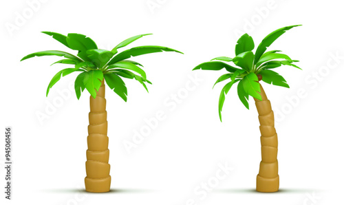 Palm tree with coconut. Realistic 3d vector illustration set of exotic tropical plant with green leaves. Jungle woods in different angles of view for summer sea and ocean beach vacation concept.