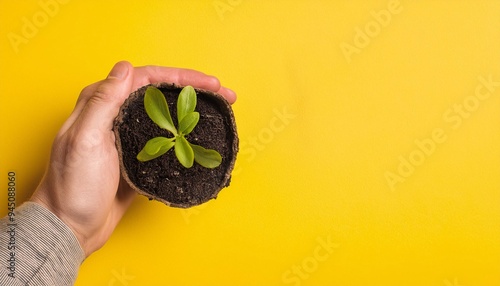 Hands of son and father giving each other a small plant. generative ai photo