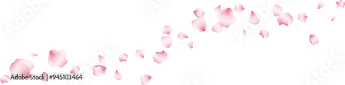 Wave flying rose petals transparent background. Beautiful floral overlay with lots of rose petals.