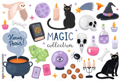 Magic collection. Set of magical Halloween illustrations. Witch cauldron, black cat, owl, magic crystal ball, frog, moon, book, candle, skull, witch hat, bones. Elements for Halloween design.