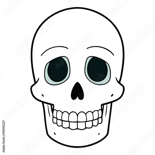 Human Skull Carton Vector Illustration