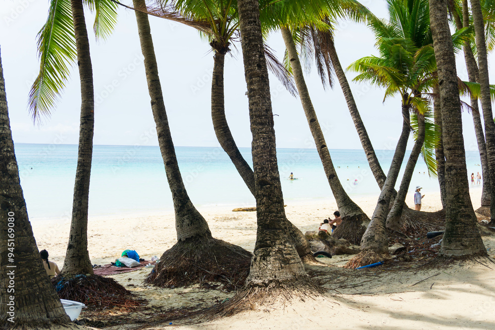 フィリピン　ボラカイ島のビーチとヤシの木