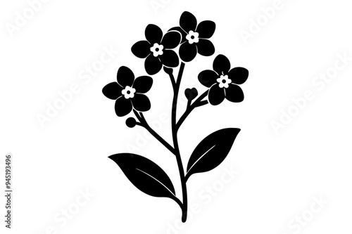 Forget me not Silhouette on vector illustration with white background