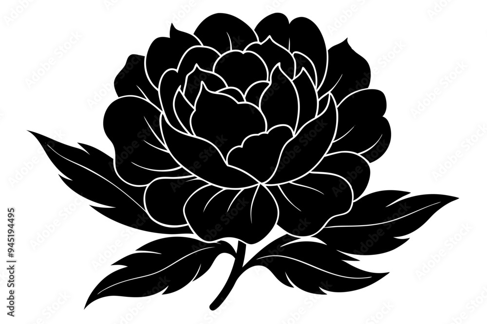 Fototapeta premium Peony Silhouette on vector illustration with white background.