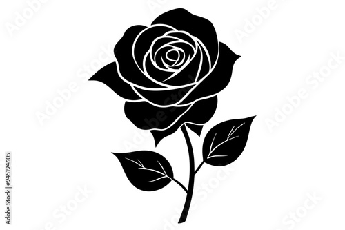 Rose Silhouette on vector illustration with white background.