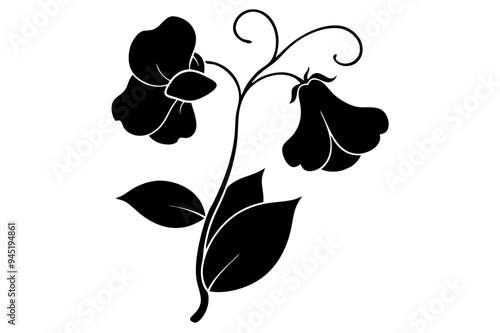 Sweet pea Silhouette on vector illustration with white background.