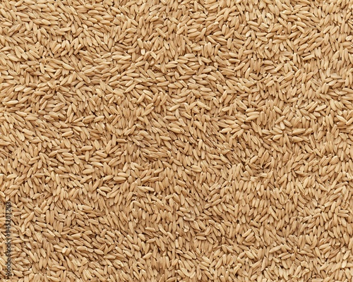 Abundant pile of raw unhulled barley grains photo