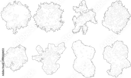 Tree plan outline silhouettes - top view 6