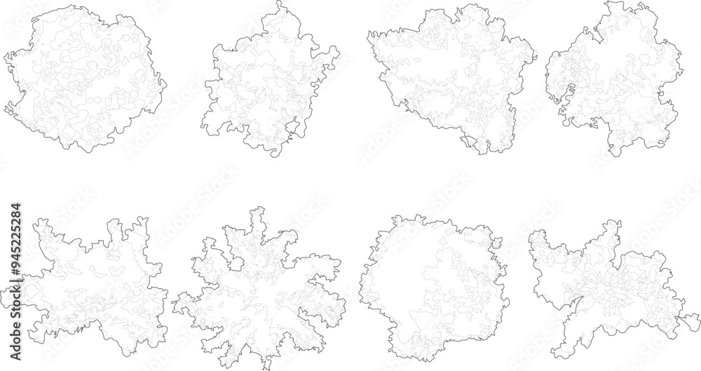 Fototapeta premium Tree plan outline silhouettes - top view 2