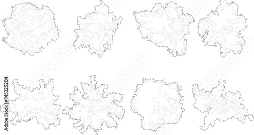 Tree plan outline silhouettes - top view 2