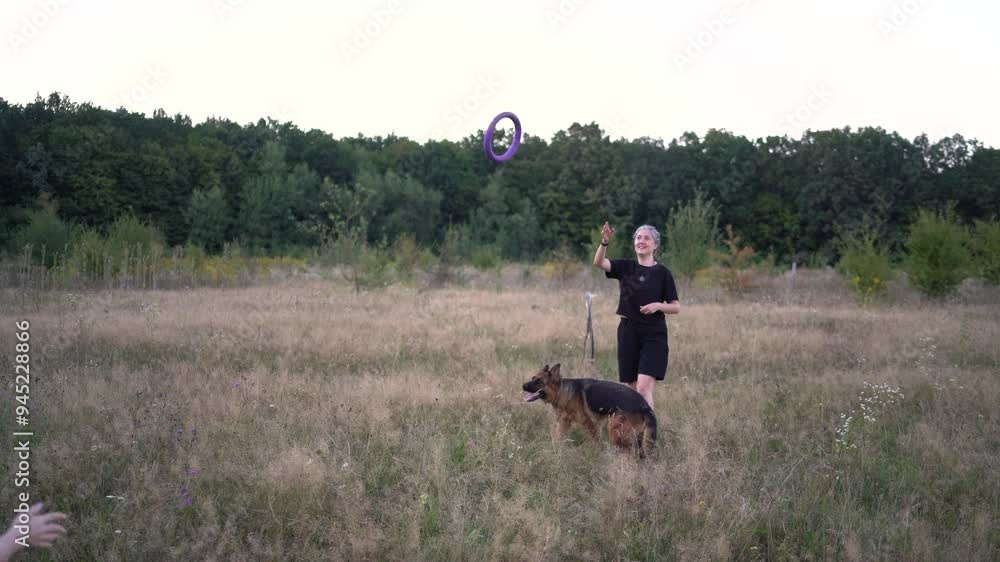 women play in the field with a german shepherd dog toy at a sunset women play in the field with a german shepherd dog toy at a sunset