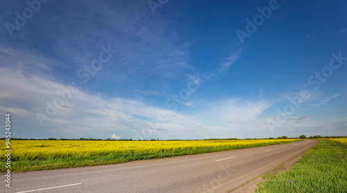 A road with a field of yellow flowers on either side