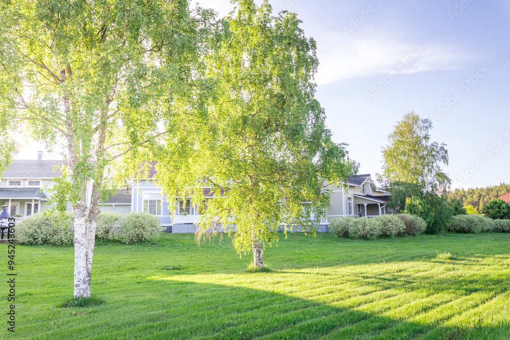 A house with a large tree in front of it A house with a large tree in front of it
