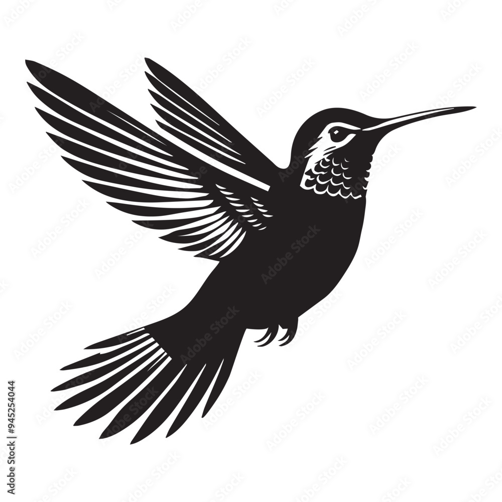 Obraz premium Hummingbird Silhouette Design, Calypte anna Clipart Design, Anna's Hummingbird in mid-air Illustration in black and white