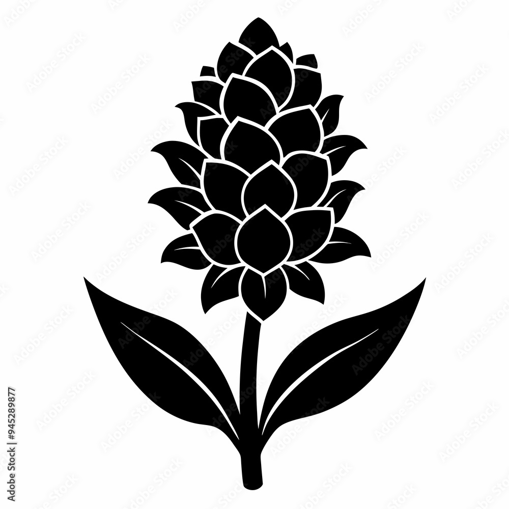 Hyacinth flower Black silhouette Hyacinth flower Black silhouette
