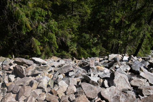 A rocky terrain covered in scattered stones among lush green trees near a forested area on a sunny day