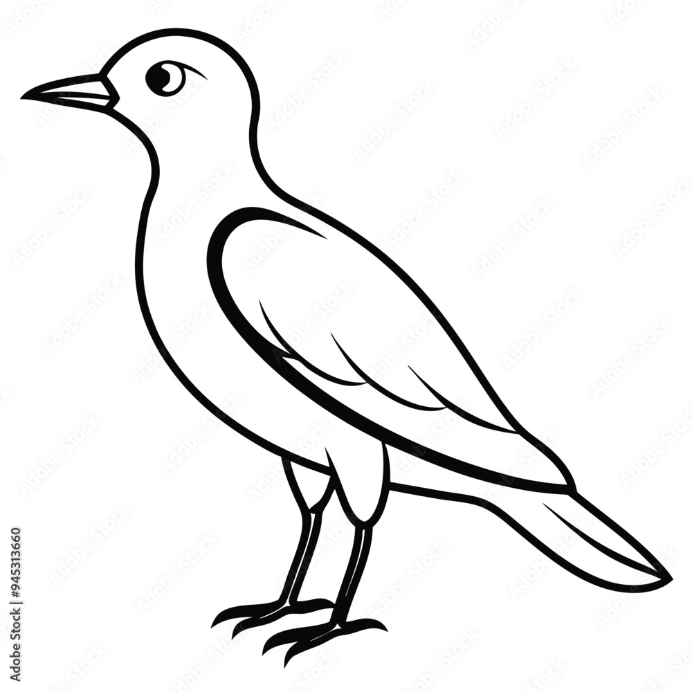 Black bird vector art illustration Black bird vector art illustration