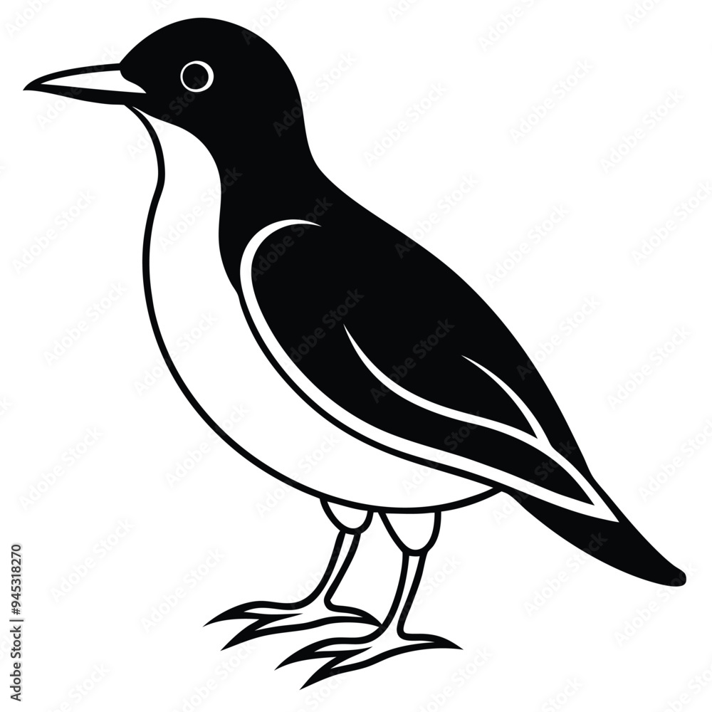 Fototapeta premium Beautiful Bird vector art Illustration